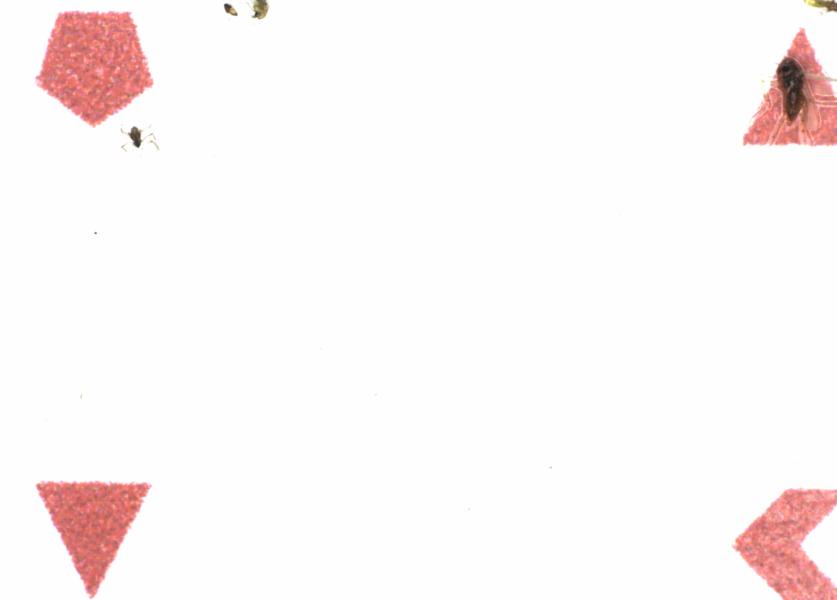 Fullscreen Image