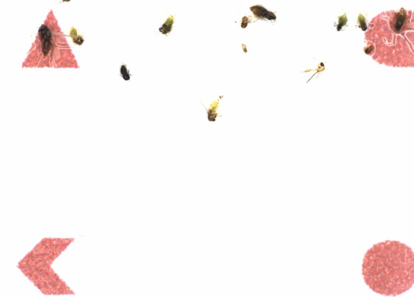 Fullscreen Image