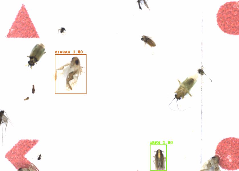 Fullscreen Image