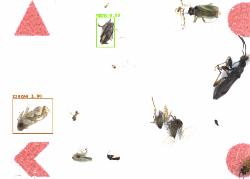 Fullscreen Image