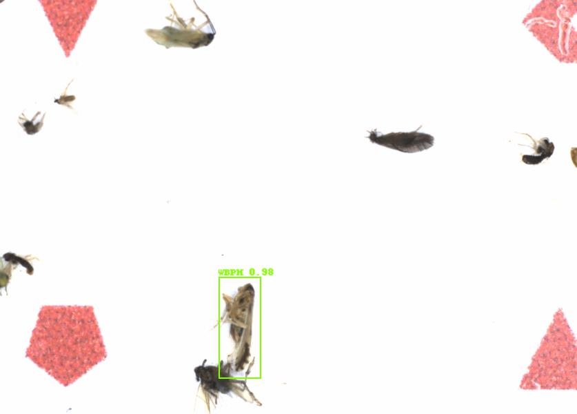 Fullscreen Image