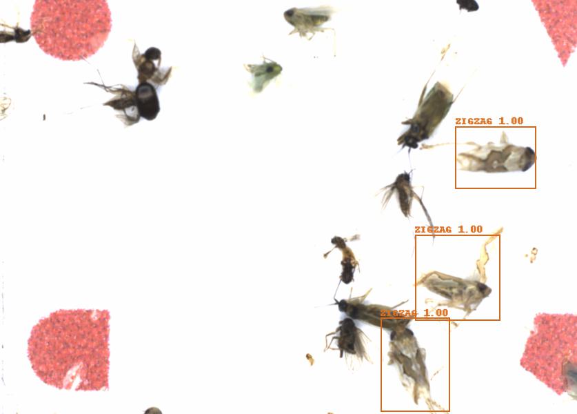 Fullscreen Image
