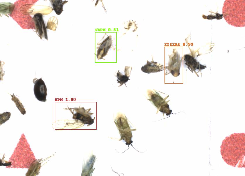 Fullscreen Image