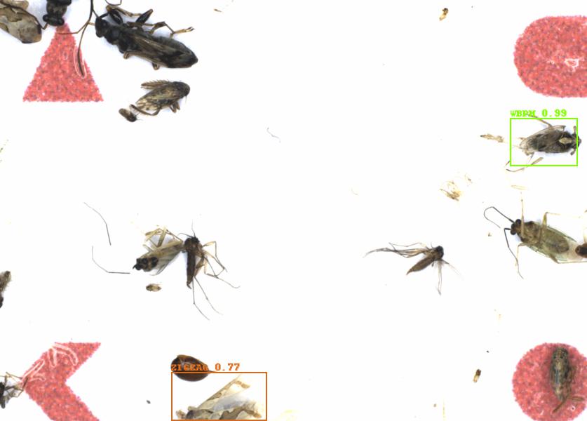 Fullscreen Image