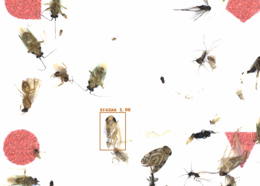 Fullscreen Image