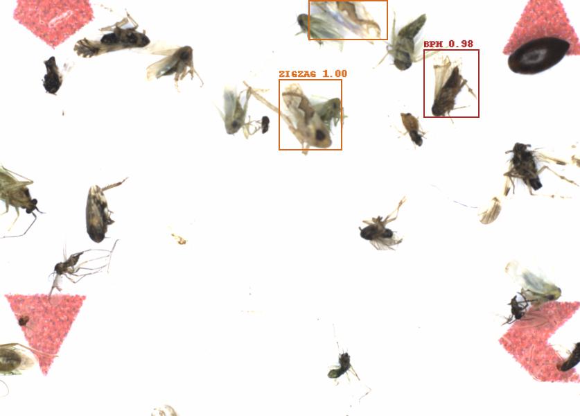 Fullscreen Image