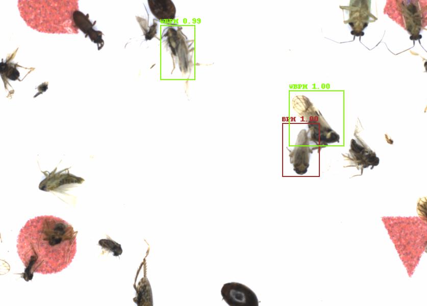Fullscreen Image