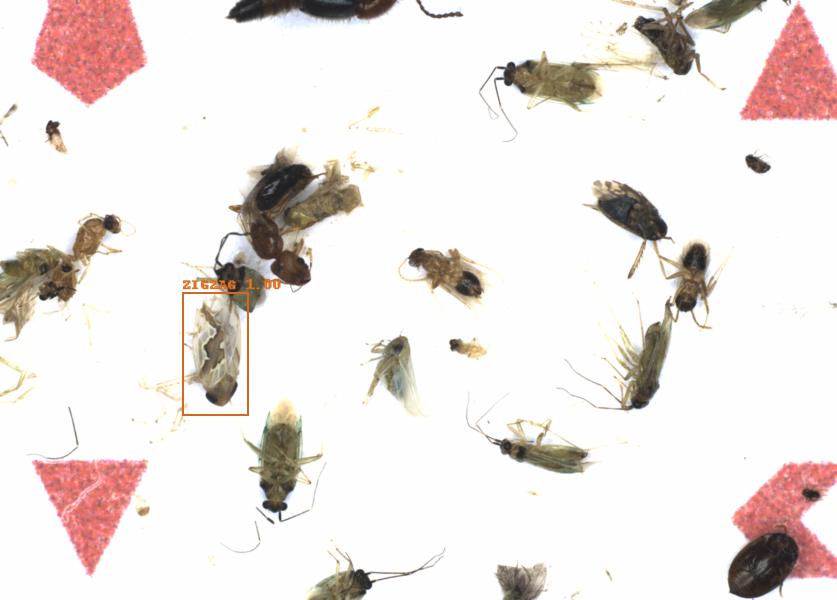 Fullscreen Image