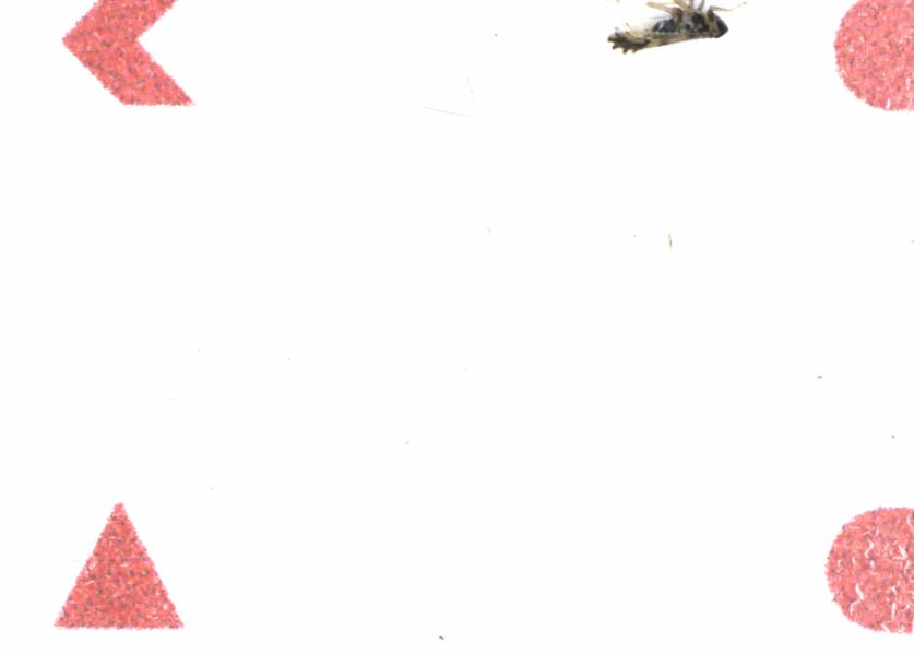 Fullscreen Image