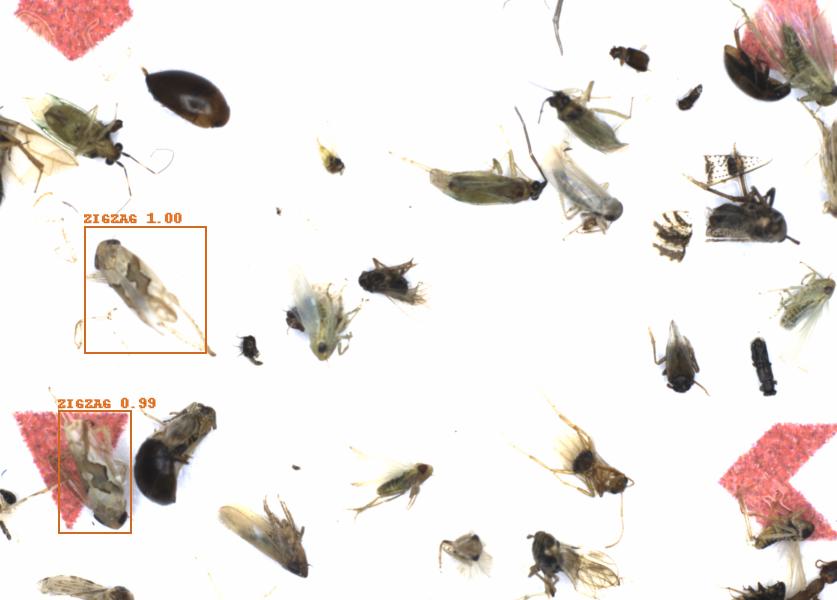 Fullscreen Image