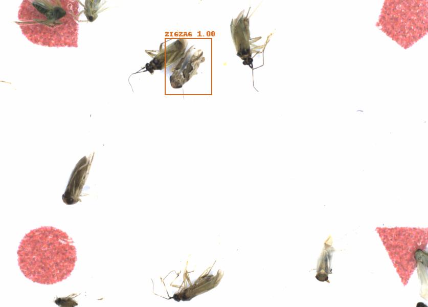 Fullscreen Image