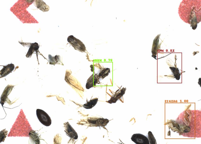 Fullscreen Image