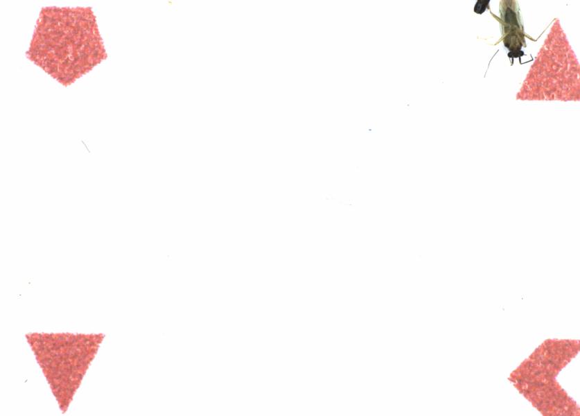 Fullscreen Image