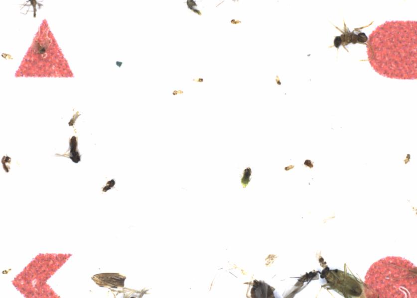 Fullscreen Image
