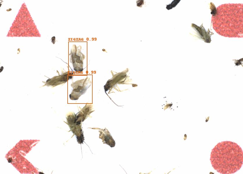 Fullscreen Image