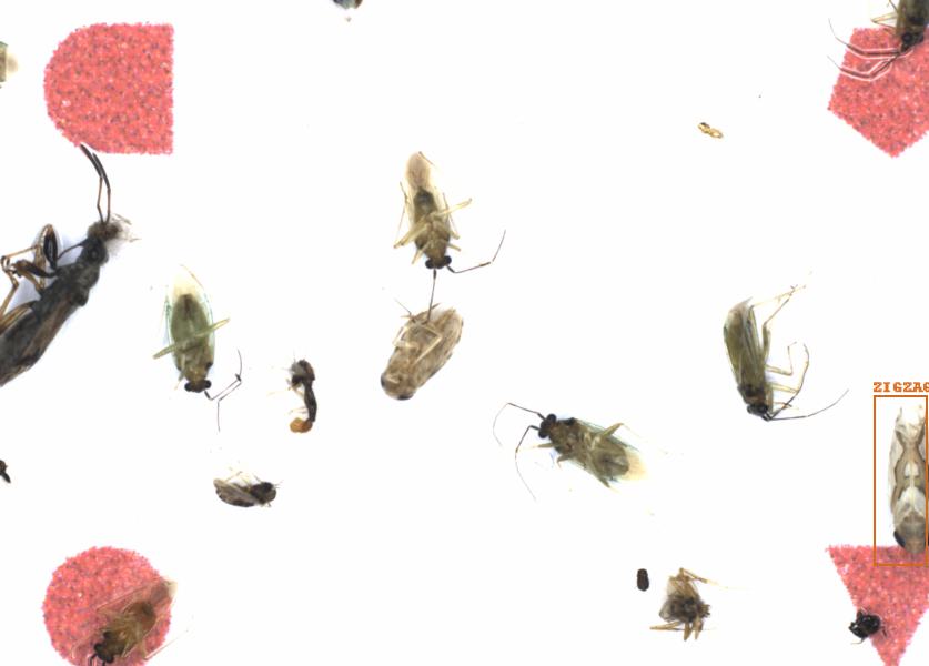 Fullscreen Image