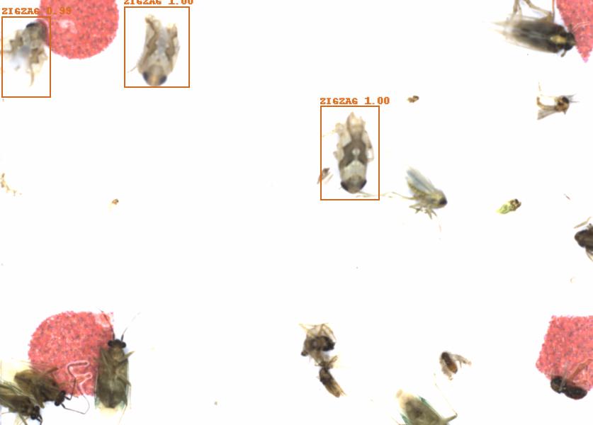 Fullscreen Image