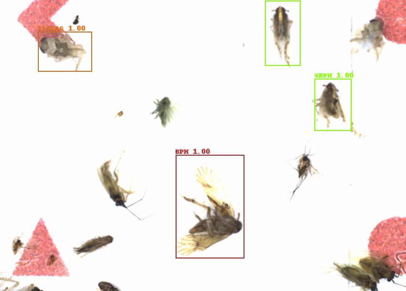 Fullscreen Image