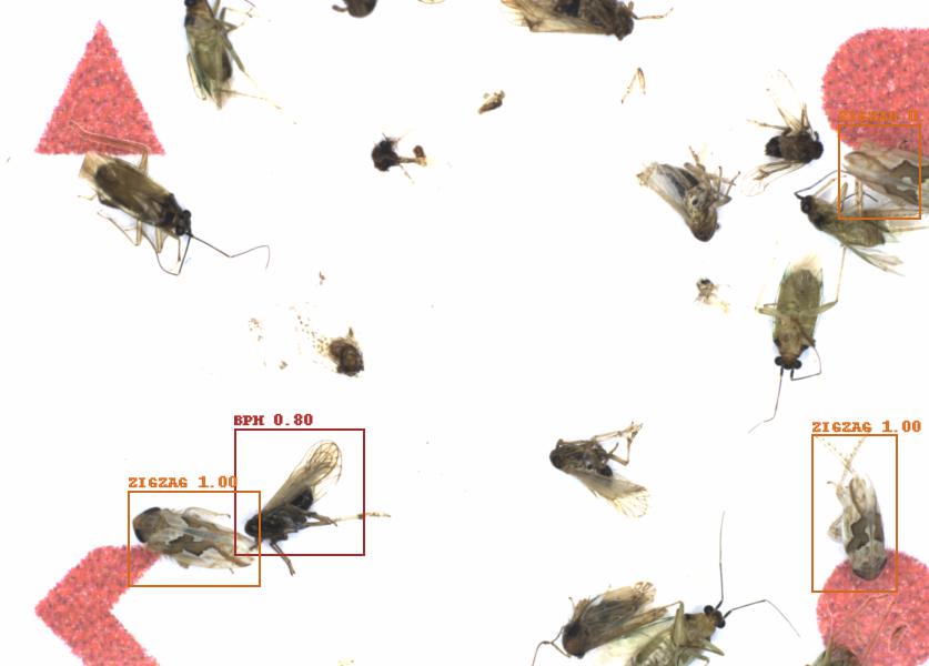 Fullscreen Image
