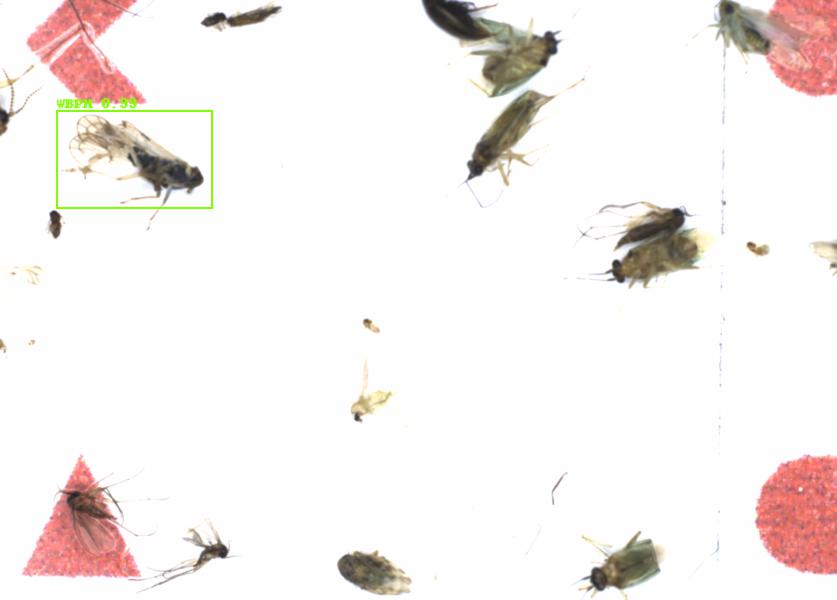 Fullscreen Image