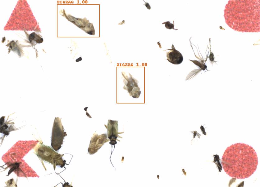 Fullscreen Image