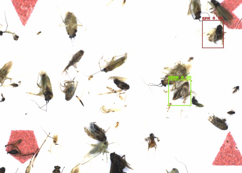 Fullscreen Image
