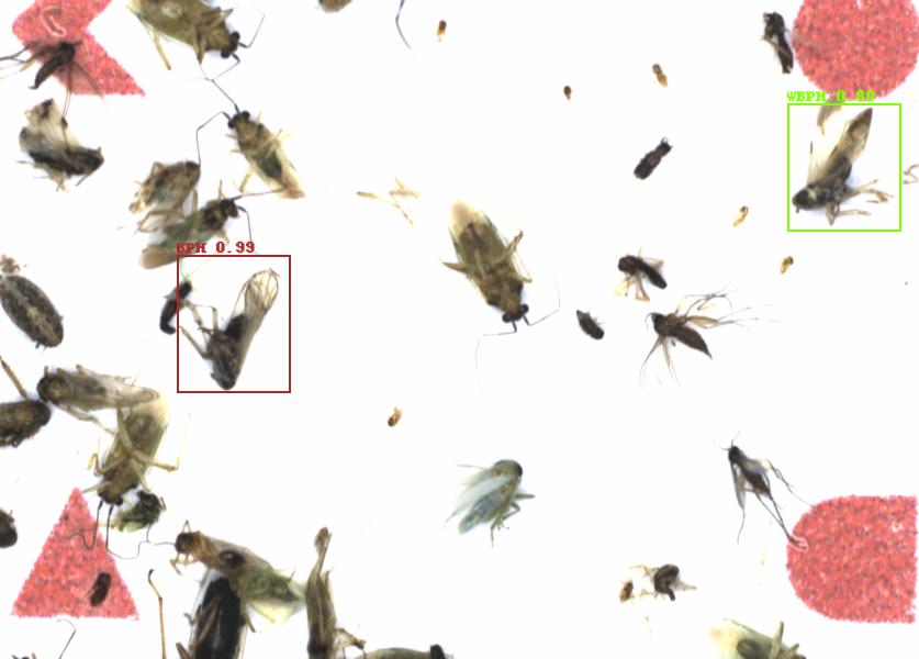 Fullscreen Image