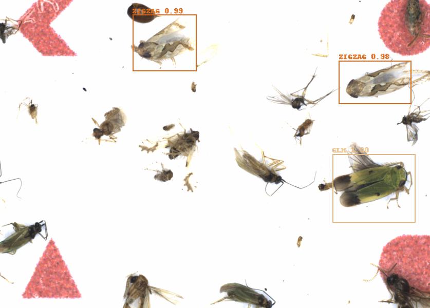 Fullscreen Image