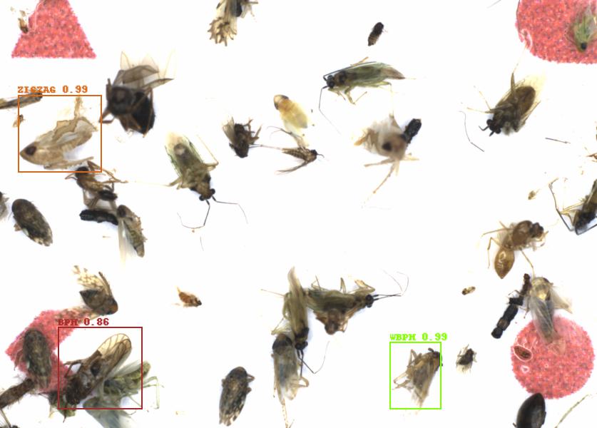 Fullscreen Image