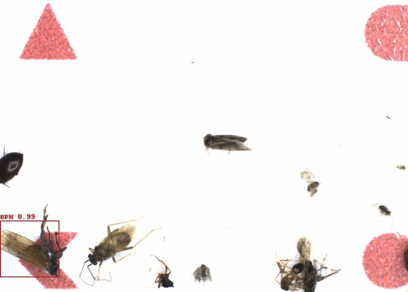 Fullscreen Image
