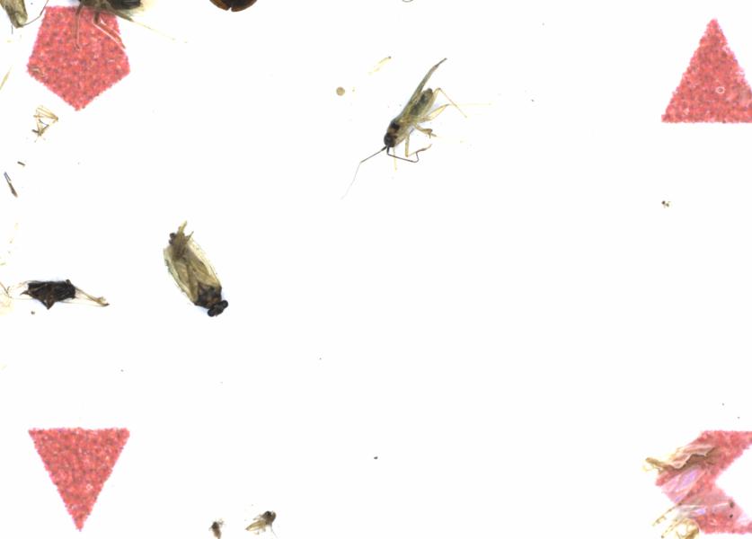 Fullscreen Image