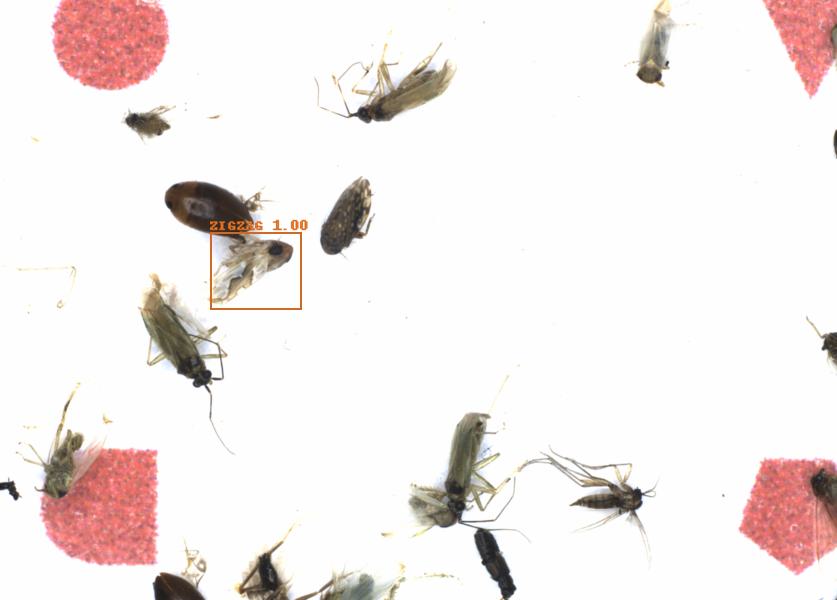 Fullscreen Image