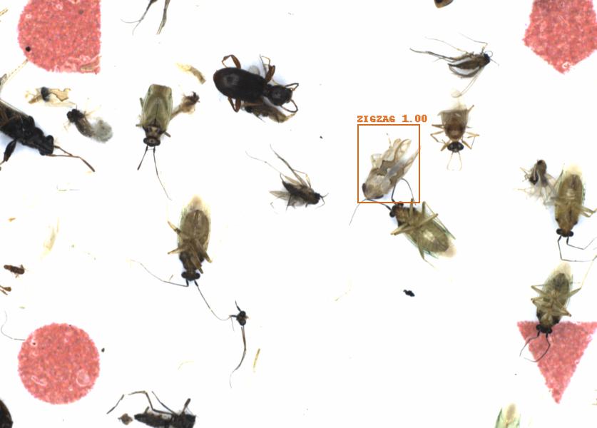 Fullscreen Image