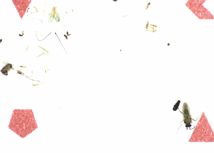 Fullscreen Image