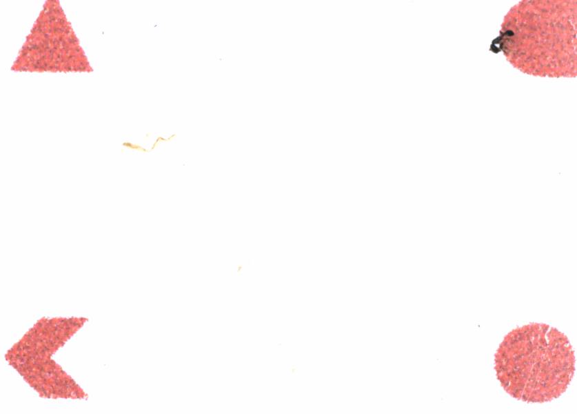 Fullscreen Image