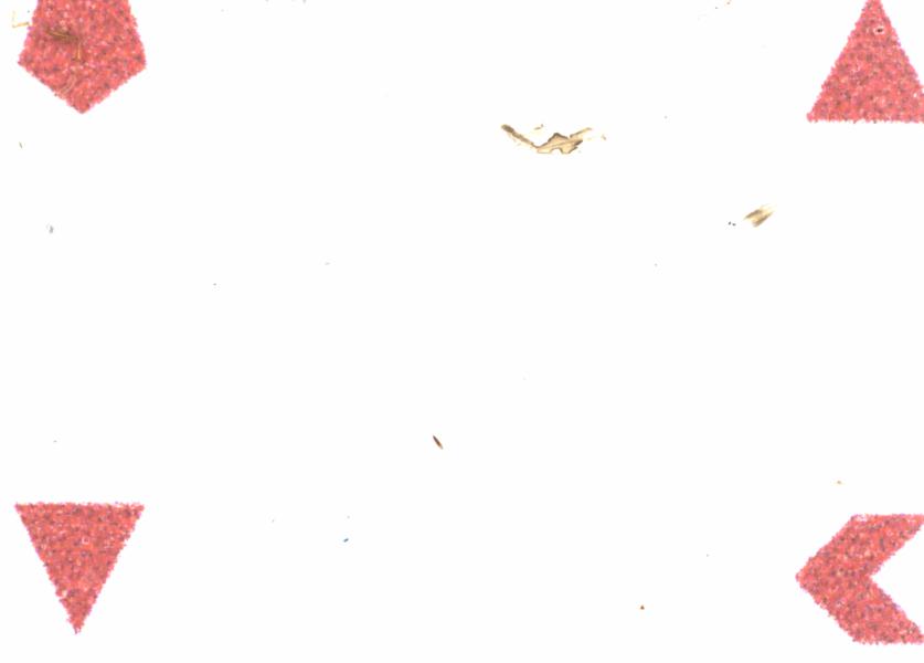 Fullscreen Image