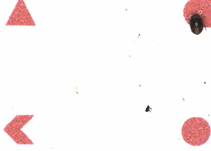 Fullscreen Image