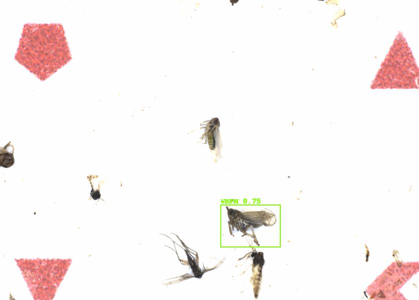 Fullscreen Image