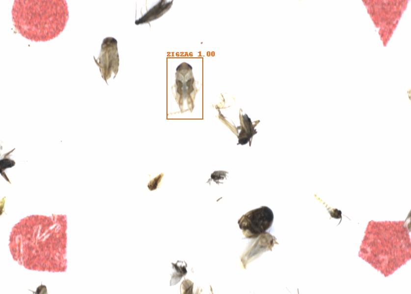 Fullscreen Image