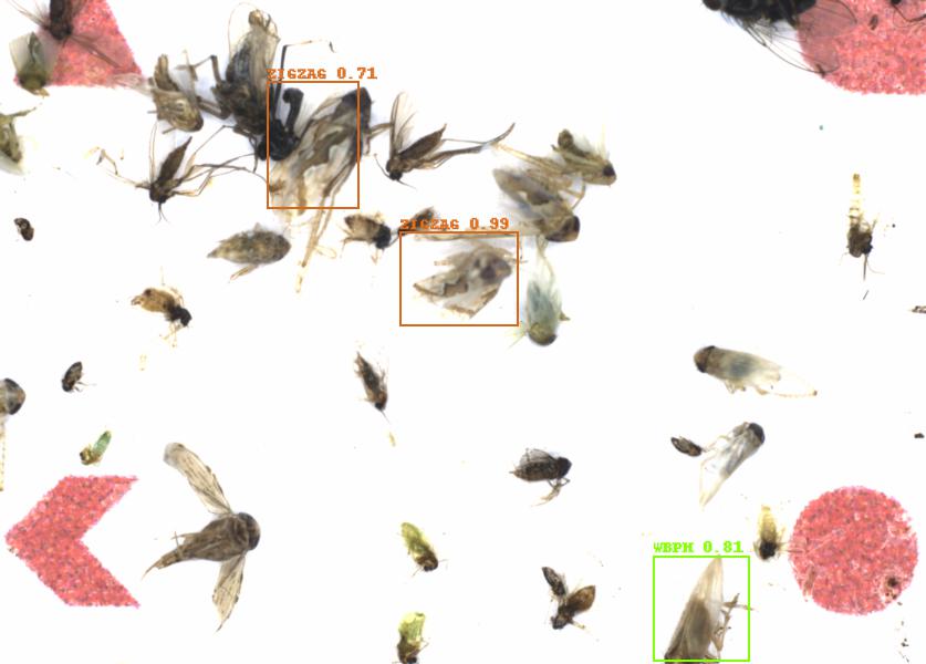 Fullscreen Image