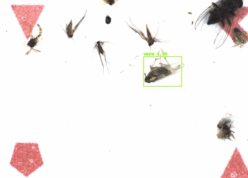 Fullscreen Image