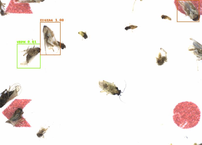 Fullscreen Image