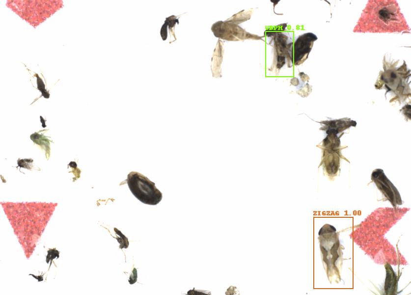 Fullscreen Image