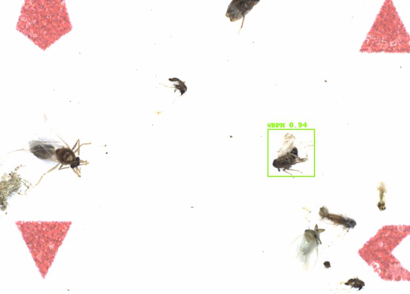 Fullscreen Image