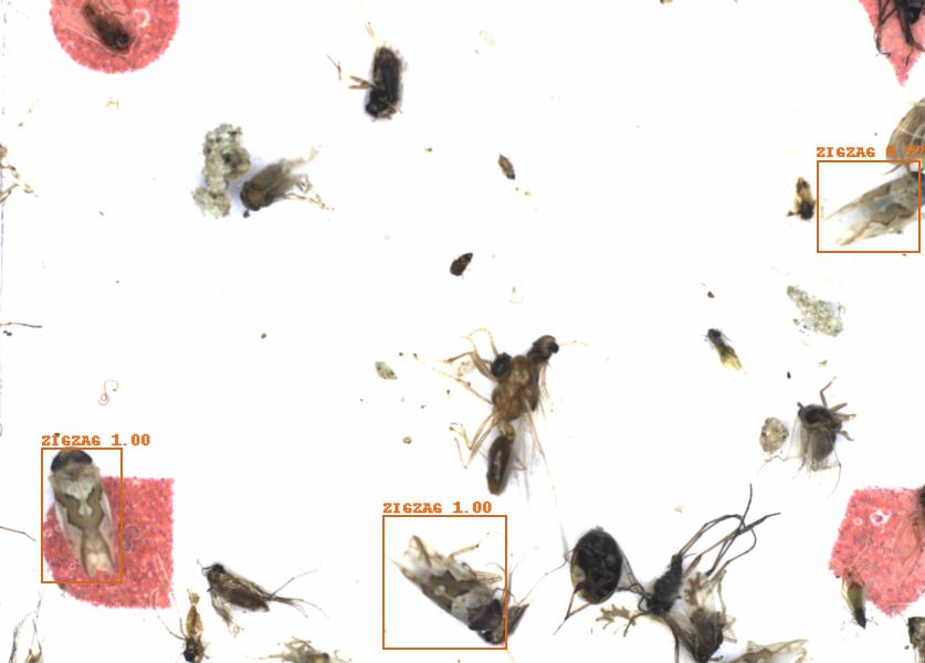 Fullscreen Image