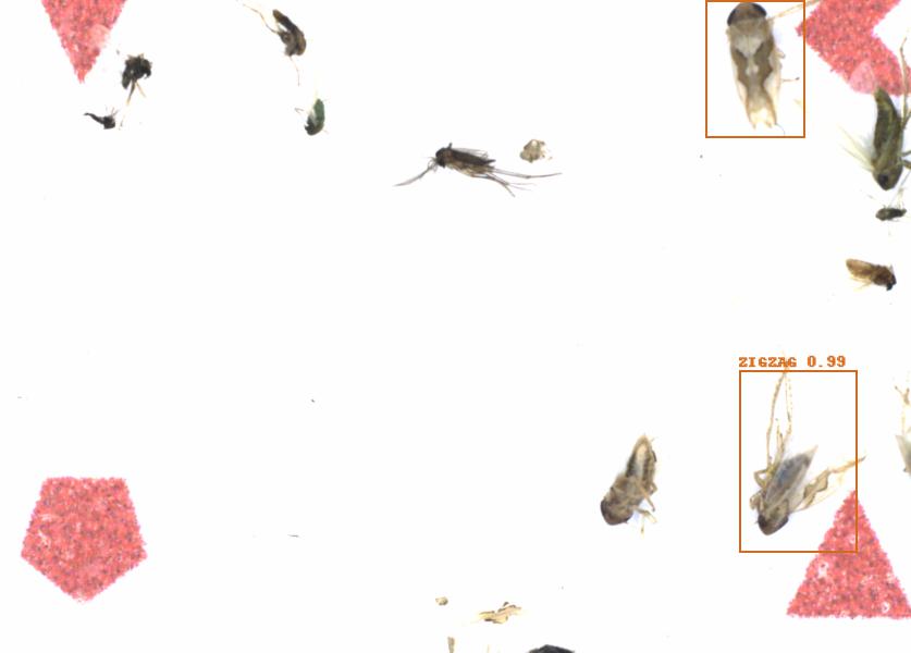 Fullscreen Image