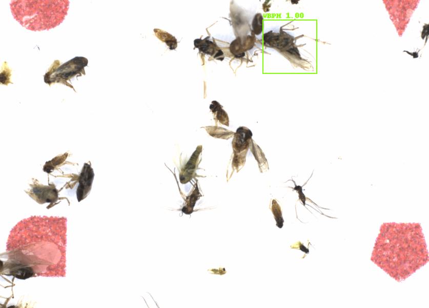 Fullscreen Image