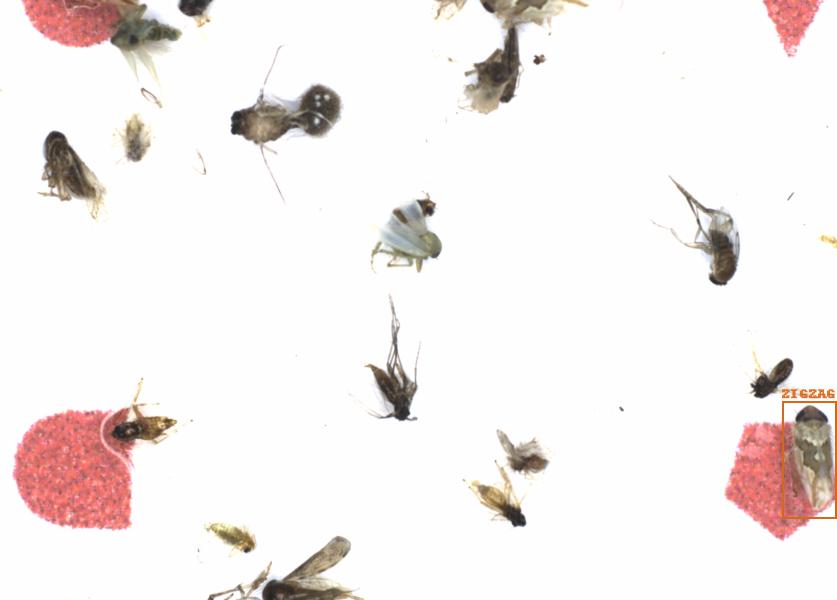 Fullscreen Image