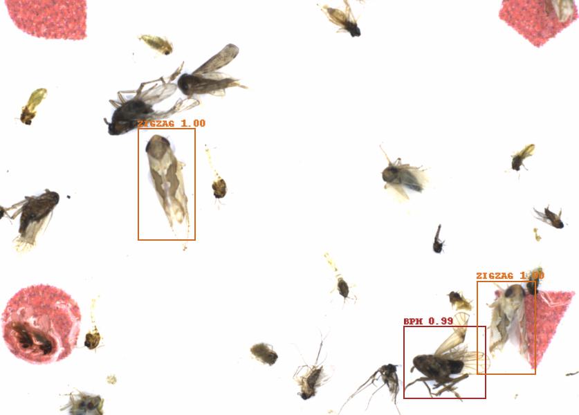 Fullscreen Image