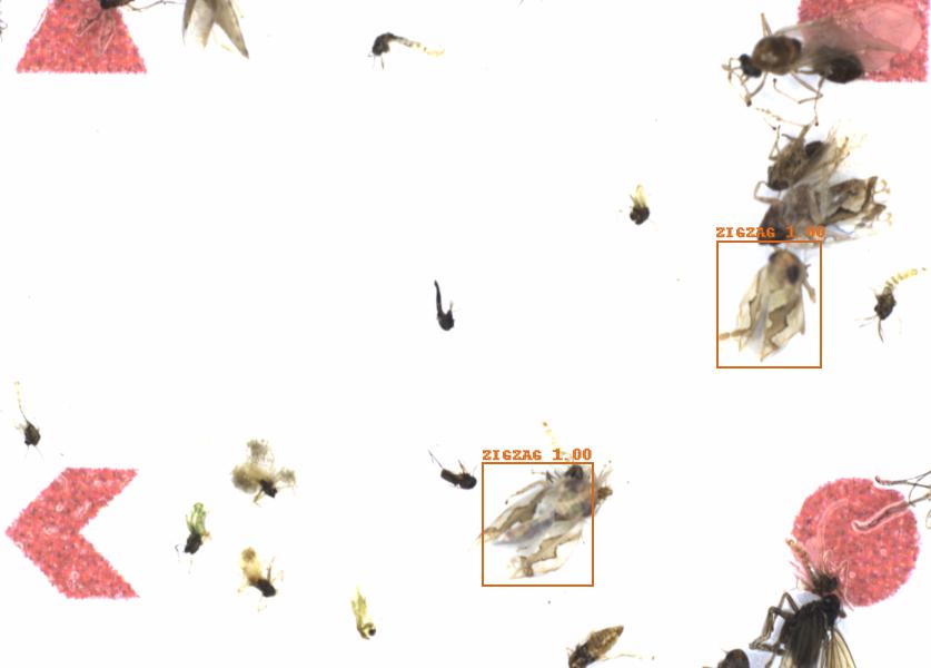 Fullscreen Image
